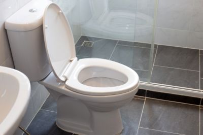 Contemporary Toilet Design